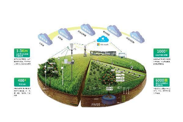 獨(dú)家專訪|科百科技副總裁劉楓 農(nóng)業(yè)物聯(lián)網(wǎng)的破與立與物聯(lián)網(wǎng)技術(shù)研發(fā)